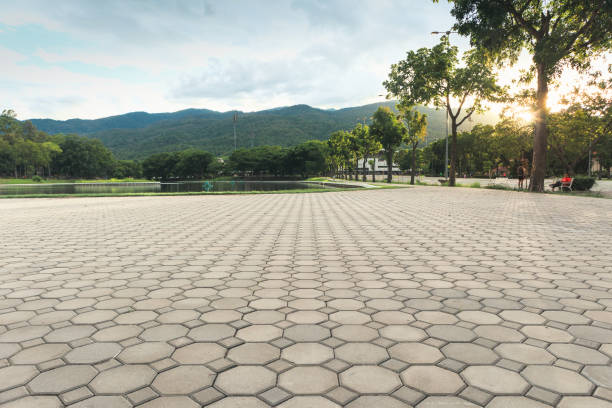 Best Best Driveway Pavers  in Orland Park, IL