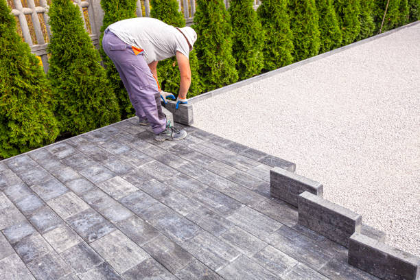 Best Driveway Repair Near Me  in Orland Park, IL